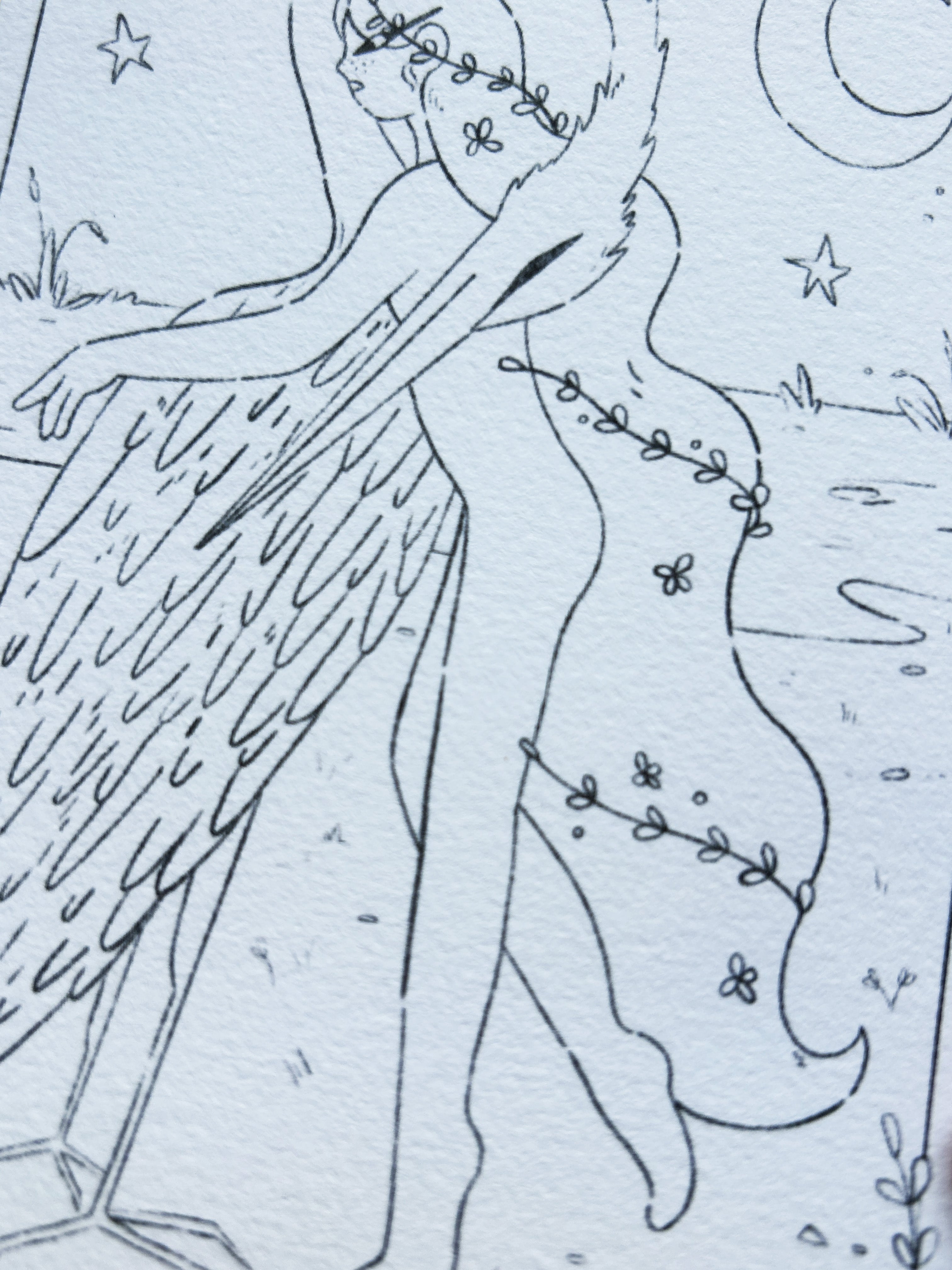 Coloriage héron