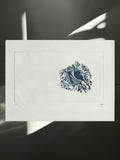 Le coquillage - Gravure