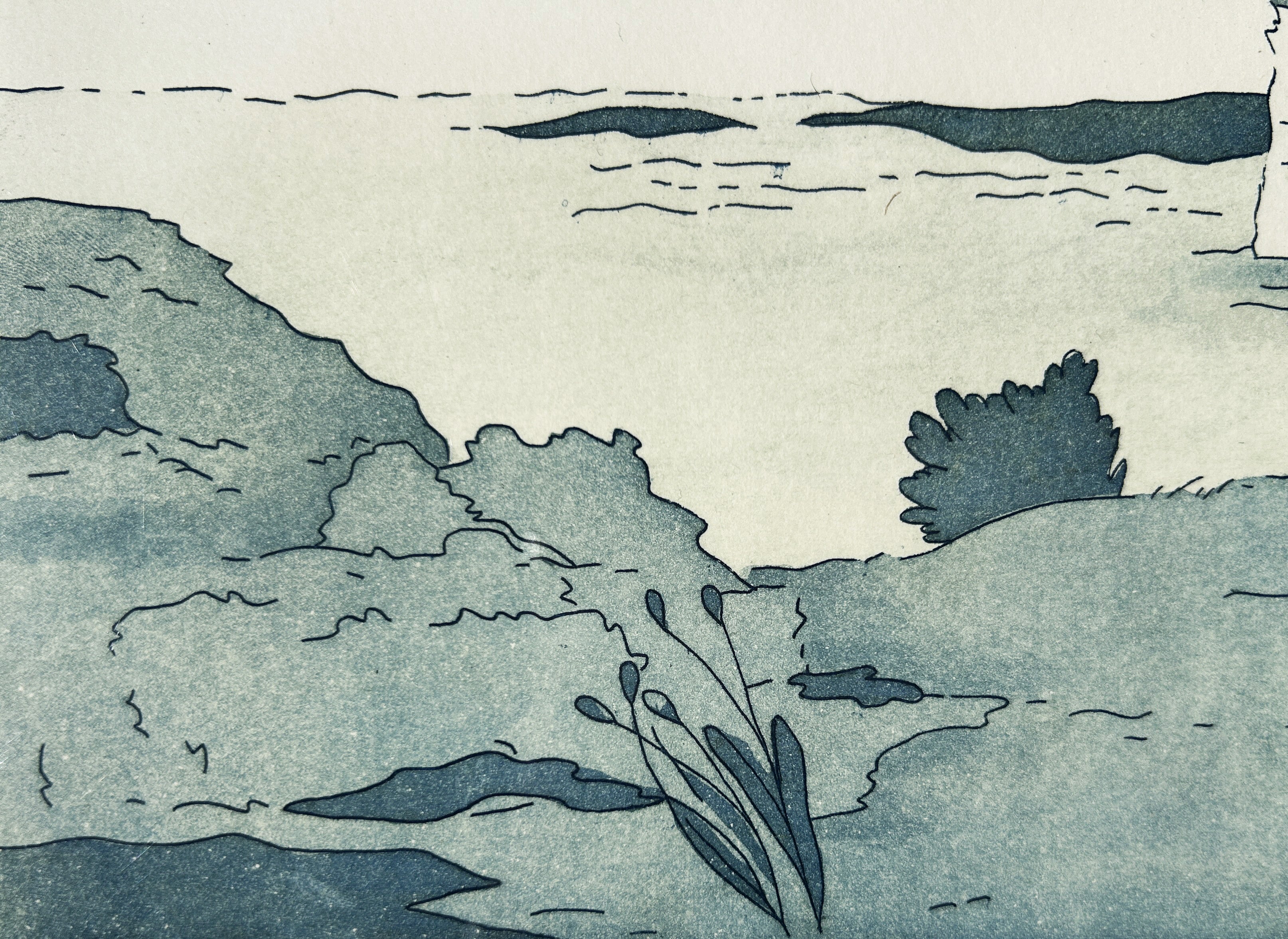 Le Bois de Cise - Gravure