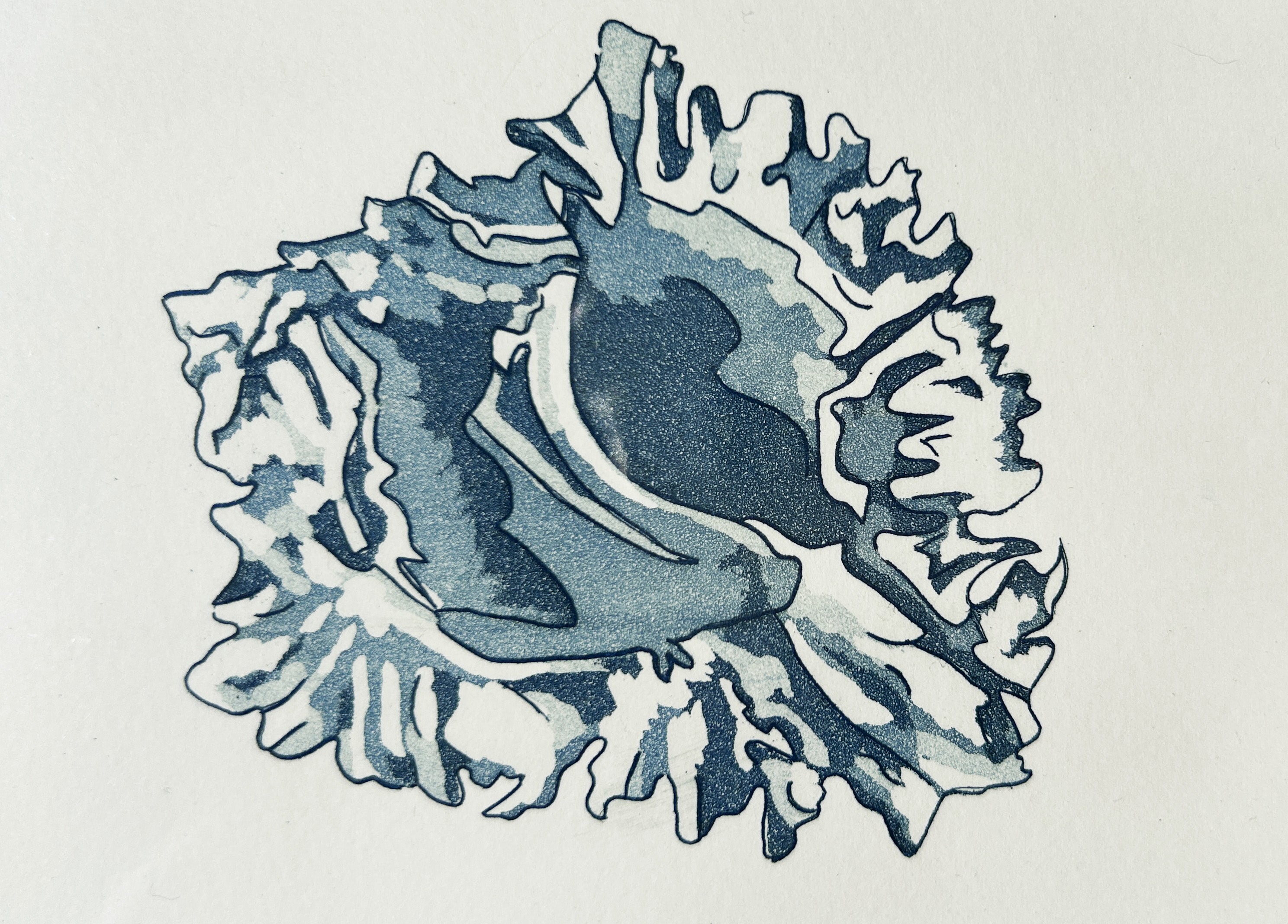 Le coquillage - Gravure