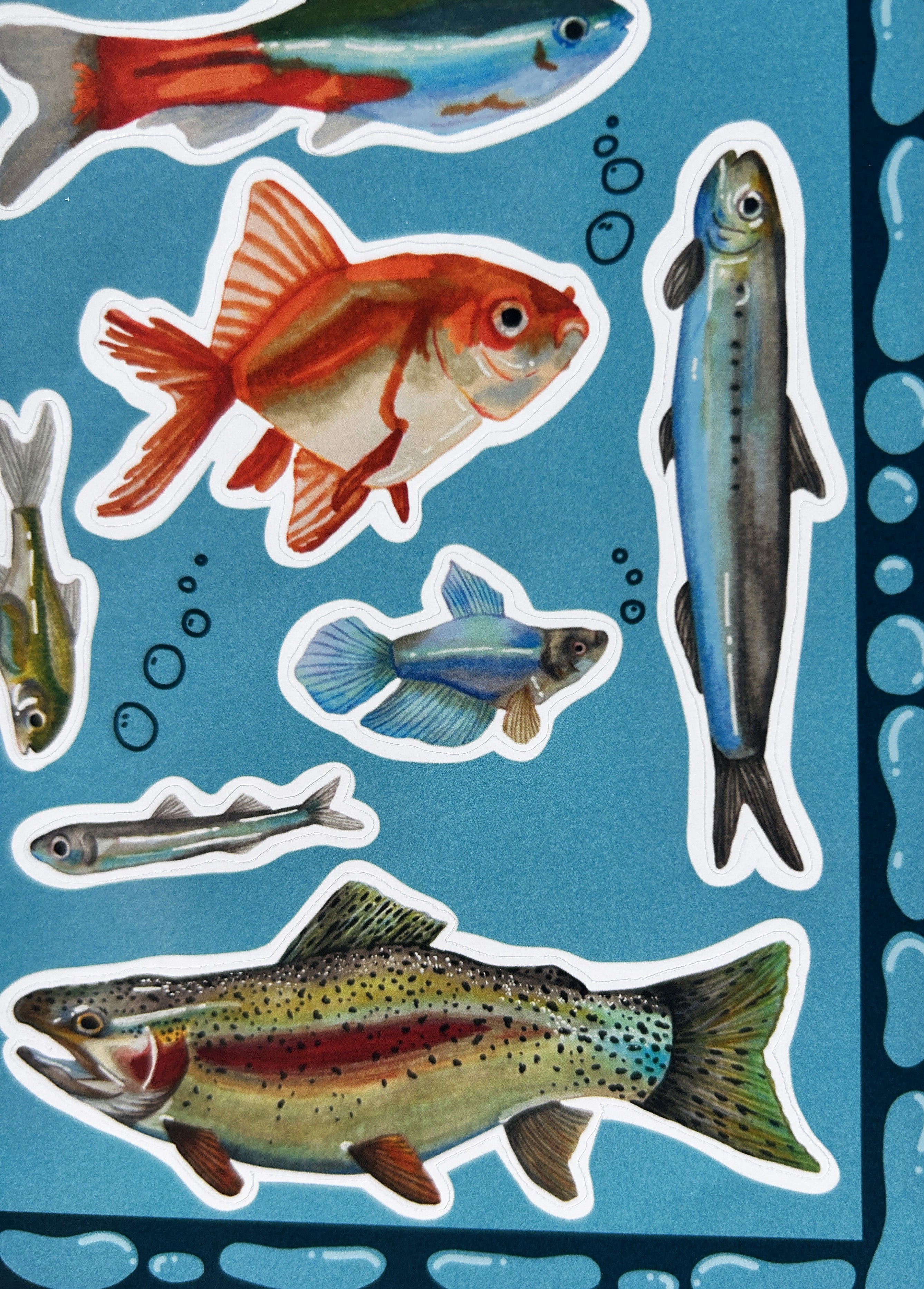 Funky fishes - Planche de stickers