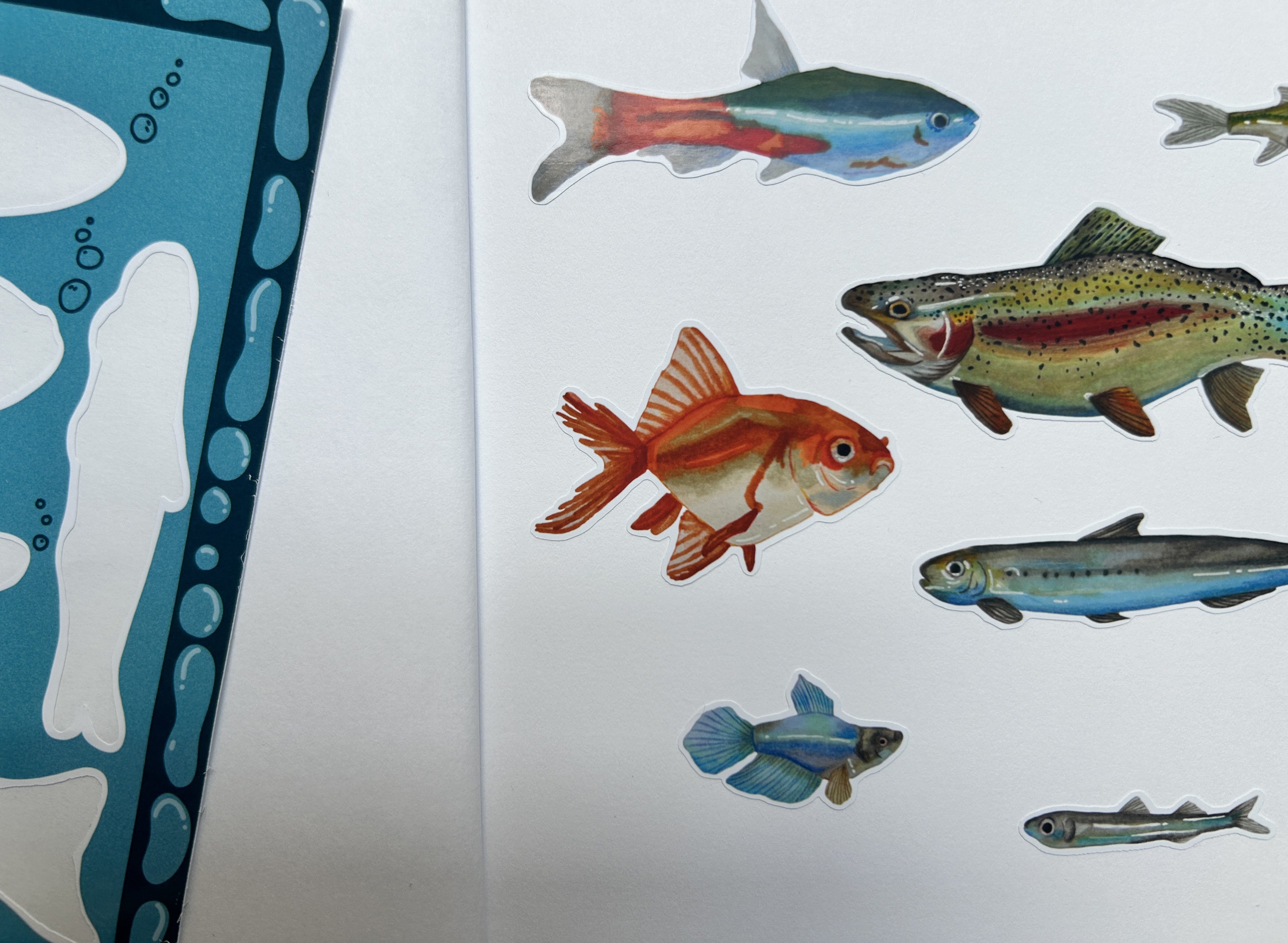 Funky fishes - Planche de stickers