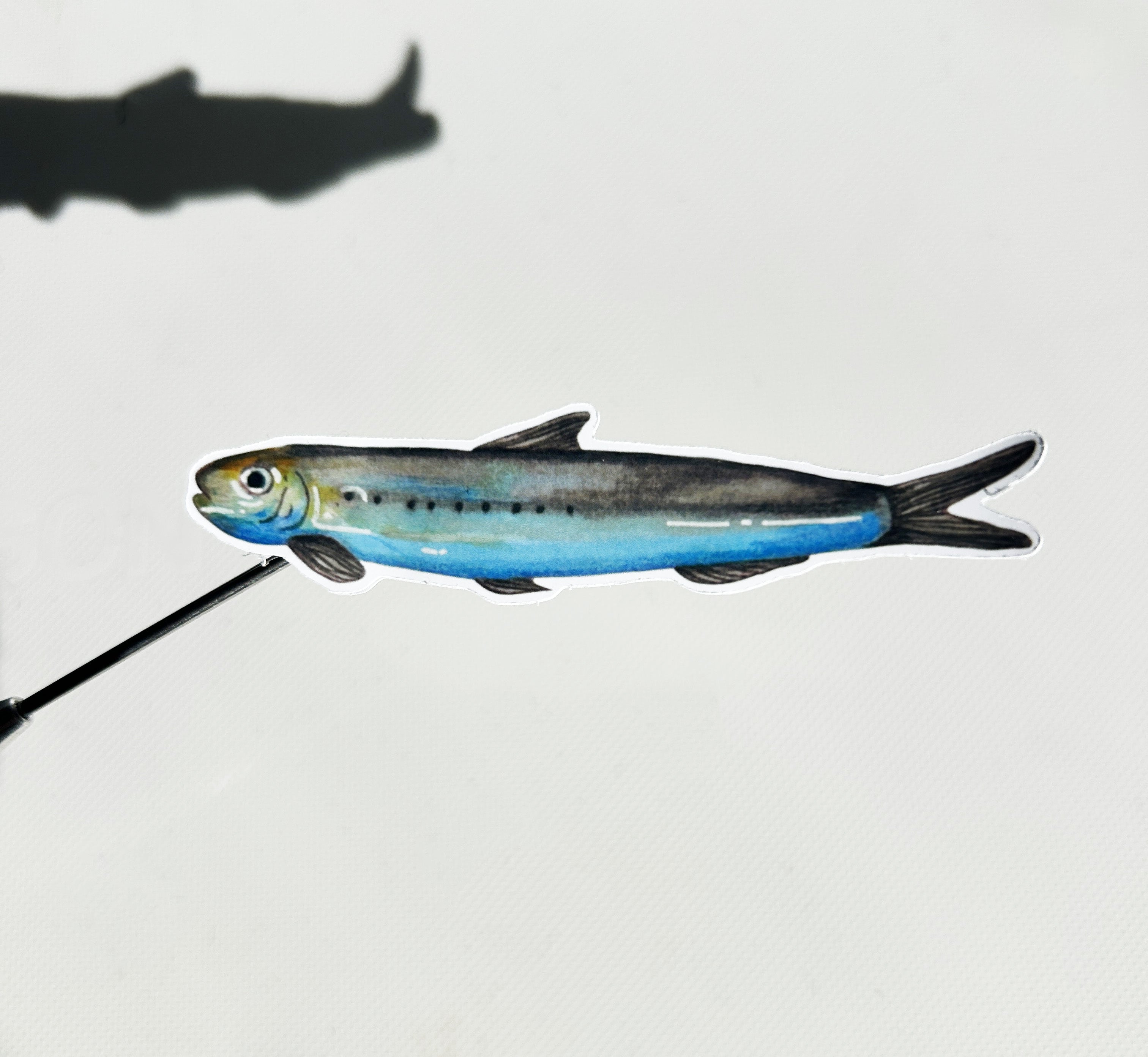 Funky fishes - Planche de stickers